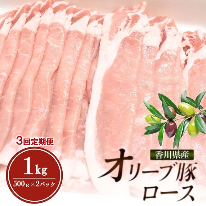 【3回定期便 奇数月お届け】香川県産オリーブ豚ロース1kg(500g×2p) 豚肉 肉 お肉 香川 香川県 東かがわ市