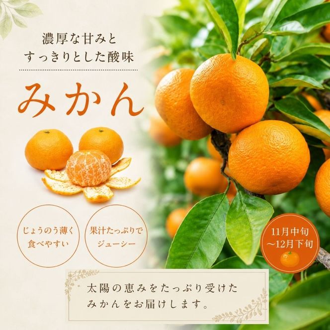 【数量限定】旬の特選フルーツ定期便 (シャインマスカット・イチゴ・みかん) 全3回