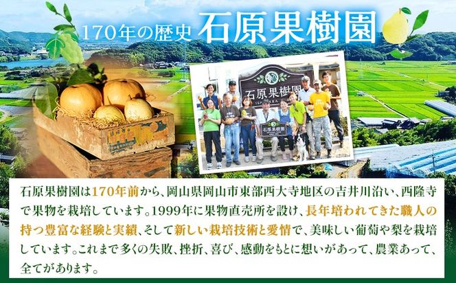 米 こめ コメ 備前乙女米 白米 30kg 石原果樹園 《90日以内に出荷予定》岡山県 浅口市 ご飯 お米 国産 岡山県産 送料無料---124_1048_90d_24_56000_30haku---