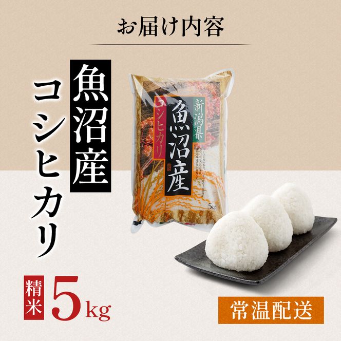 令和7年度産【十日町産】 魚沼産コシヒカリ5kg 米 お米 こしひかり 精米 新潟 