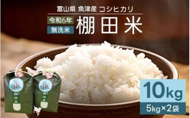 【早期予約】米 令和6年 コシヒカリ 10kg 無洗米 棚田米 (5kg×2袋) ヤギの杜｜富山 こめ コメ お米 おこめ 白米 精米 新米 ※北海道・沖縄・離島への配送不可 ※2024年10月上旬頃より順次発送予定◇