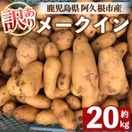 ＜先行予約受付中！2026年6月以降順次発送予定＞訳あり！じゃがいも メークイン(20kg) 国産 鹿児島県産 じゃがいも ジャガイモ 芋 ポテト 訳アリ 野菜 期間限定 数量限定 スープ カレー シチュー 常温 常温配送 【慶越農園】akn107-04