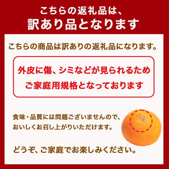 ＜4月より発送＞家庭用 樹上完熟はっさく7.5kg+250g（傷み補償分）有田の春みかん・五月八朔・さつきはっさく・木生りはっさく・きなりはっさく【光センサー選別】訳あり