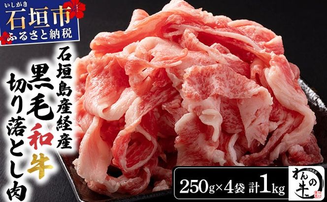 yꌧΊ_sz̋Ί_YoYјa ؂藎Ƃ 250g×4 v1kg NA-02