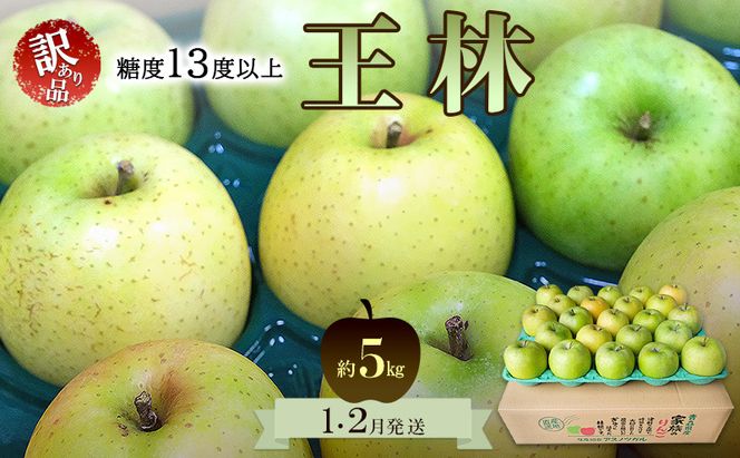 りんご【1月・2月発送】糖度13度以上 訳あり品 家庭用 王林 約5kg【青森りんご 果物 フルーツ デザート 食後 青森県産 産地直送 贈り物】