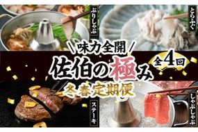 ＜先行予約受付中！2026年1月中旬より配送開始＞＜定期便・全4回＞味力全開！佐伯の極み 冬春定期便(月1回お届け) 鰤 ブリ とらふぐ 刺身 ふぐ 鍋 ステーキ ヒレ サーロイン しゃぶしゃぶ 焼肉 セット 【BR119】【佐伯市ふるさと納税事業者協議会】