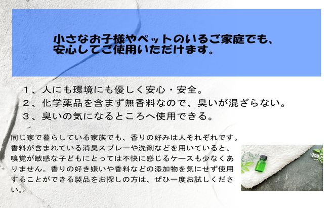 消臭スプレー  エコアーススプレー300ml+エコアースボトル500ml 各1本 消臭剤