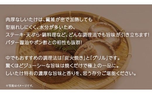 特大 しいたけ 約1kg (30個)【2026年12月上旬発送開始】(茨城県共通返礼品：大子町) 肉厚 椎茸 ステーキ 天ぷら 鍋料理	