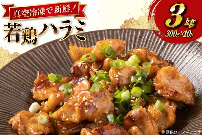 y{茧sz{ ͂ {茧Y { n~ 300g 10p v 3kg Zbg [TRINITY {茧 s 452061343]  ^pbN TK