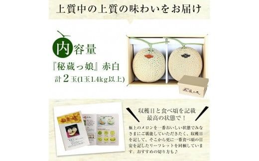 【春限定】極上メロン「秘蔵っ娘」赤玉・白玉 計2個(赤肉・青肉 各1個) b5-033-s