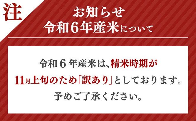 《10営業日以内発送》 令和6年産 さがびより（精米）5㎏【B-1105-AS】