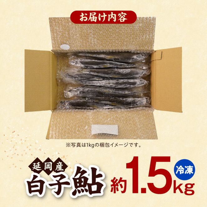 【冷凍】白子鮎約1.5kg N070-YA865-2