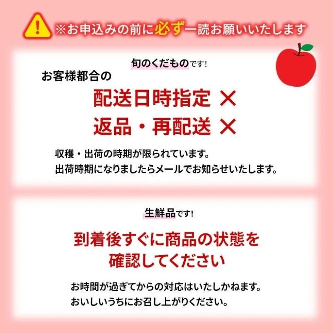 りんご 先行予約 サンふじ 秀品 約 3kg (7～11玉) フルーツ 果物 冬 2026年 12月発送