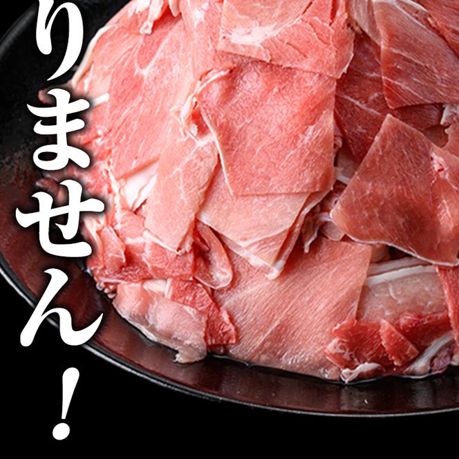＜定期便・全6回(連続)＞訳あり！鹿児島県産 豚肉切り落とし (計15kg) 切り落とし こま切れ 国産 鹿児島県産 豚肉 ブタ おかず バラ肉 個包装 小分け 薄切り 切り落し 切落し 冷凍配送 小間切れ コマ 訳アリ 【スターゼン】akn042-57