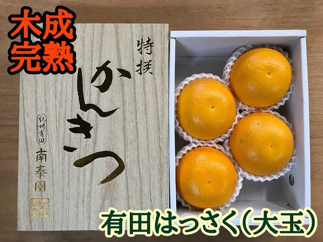 4月 まで 木成 完熟 させた 有田 はっさく 特秀 大玉 2L × 4玉 化粧小箱 南泰園 みかん  BS750