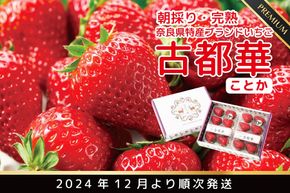 先行予約 朝採り 完熟 12月より順次発送奈良県特産 朝採り高級ブランドいちご「古都華」 // いちご イチゴ 古都華 フルーツ 果物 旬 限定  ブランド 朝採り 完熟 いちご ことか イチゴ 先行予約 古都華 数量限定 古都華 甘い 先行受付 予約