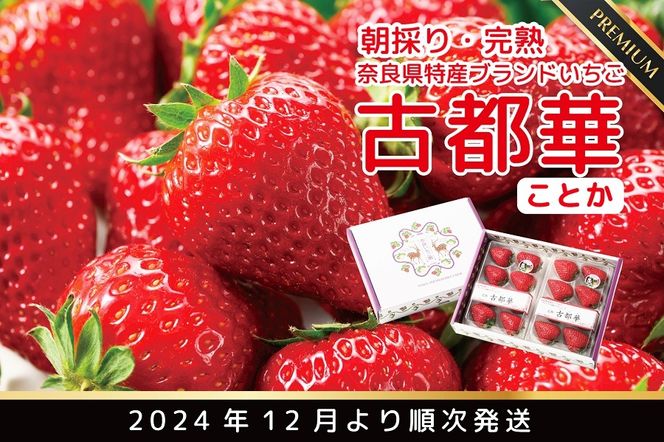 先行予約 朝採り 完熟 12月より順次発送奈良県特産 朝採り高級ブランドいちご「古都華」 // いちご イチゴ 古都華 フルーツ 果物 旬 限定  ブランド 朝採り 完熟 いちご ことか イチゴ 先行予約 古都華 数量限定 古都華 甘い 先行受付 予約