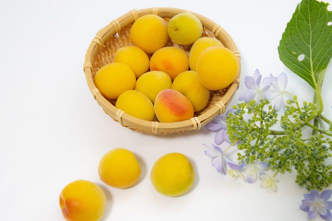 小田原 梅の輝き720ML瓶（梅ドリンク）2本セット【 飲み物 ドリンク 神奈川県 小田原市 】 142069_HR001