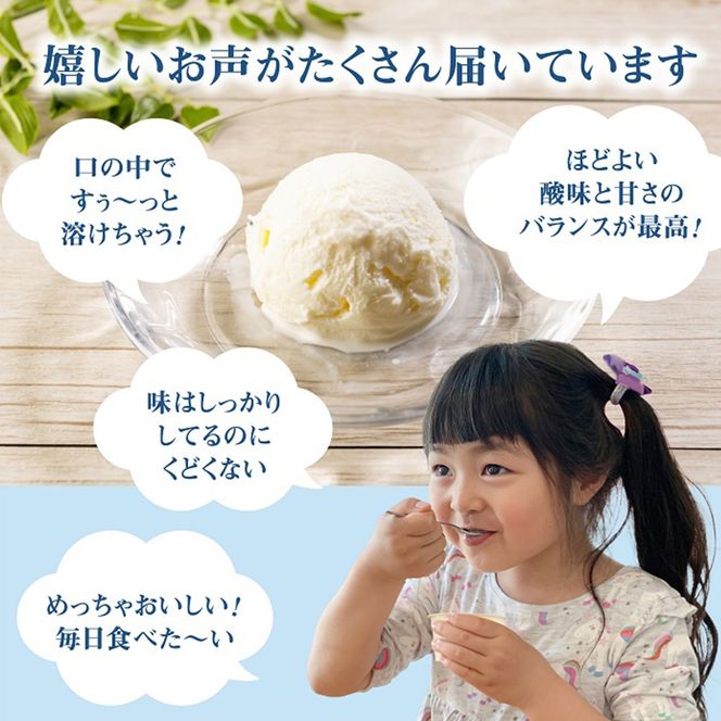 【無添加】北海道 フローズンヨーグルト×12個【1104103】
