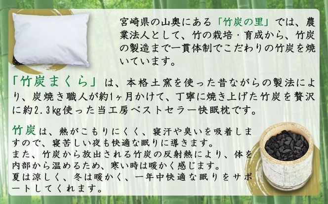 ＜竹炭まくら（ダウンプルーフ生地使用 カバー付き） ライトグリーン＞ 翌月末迄に順次出荷【 まくら 枕 竹炭 快眠 快眠枕 安眠 快適な眠り 寝具 】【a0020_ta_green】