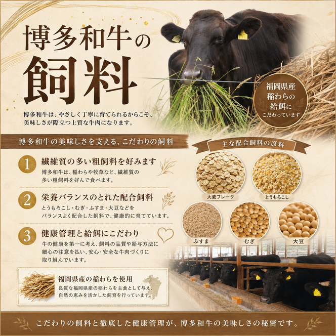 博多和牛 モモ 焼肉用・スライス 計800g (各400g) 牛肉 肉 セット ※配送不可：離島