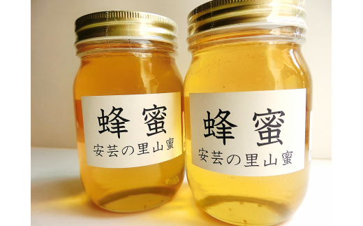 はちみつ 国産 安芸の里山蜜 500ｇ×2本セット 天然 純粋 百花蜜 無添加 非加熱 生 ギフト プレゼント 贈り物 お歳暮 お中元 健康 美容 レシピ 料理 紅茶 ヨーグルト パン ドレッシング 安芸市 高知県