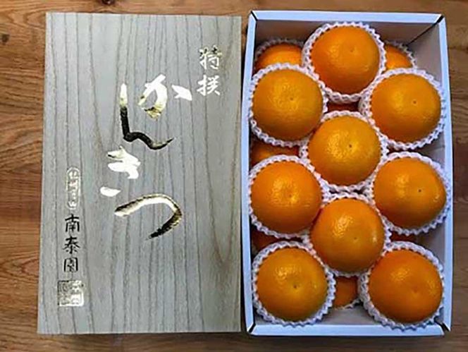 化粧箱 手詰め 有田 はっさく 特秀 M サイズ × 18玉入 2段詰 南泰園 みかん BS708