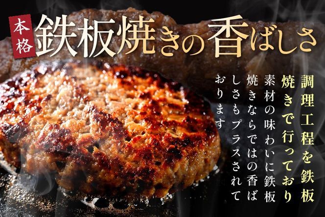 北海道 別海町産 別海牛入り合挽ハンバーグ（80g×12個）×2箱【NB002JB00】