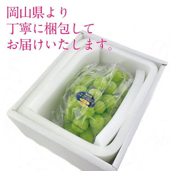 【定期便 全2回】 ぶどう 2026年 先行予約 9月・10月発送 シャインマスカット 晴王 1房 約750g ブドウ 葡萄 岡山県産 国産 フルーツ 果物 ギフト