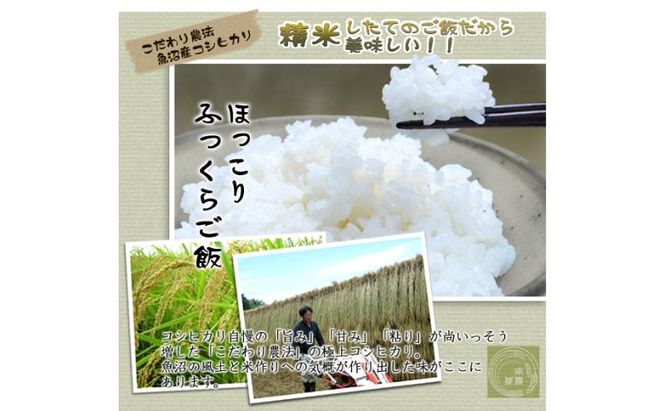 令和7年産 魚沼コシヒカリ 非BL米 5kg 米 コメ こしひかり 十日町市