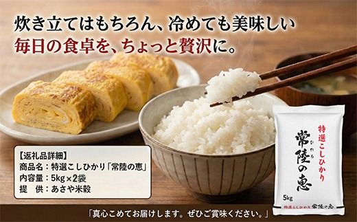 167-63-002　【令和７年産】特選こしひかり　「常陸の恵」１０kg 【 お米 五ツ星 お米マイスター HACCP 取得 低温精米 高品質 ご飯 美味しい米 ブランド米 特産物 あさや米穀 茨城県 日立市 】