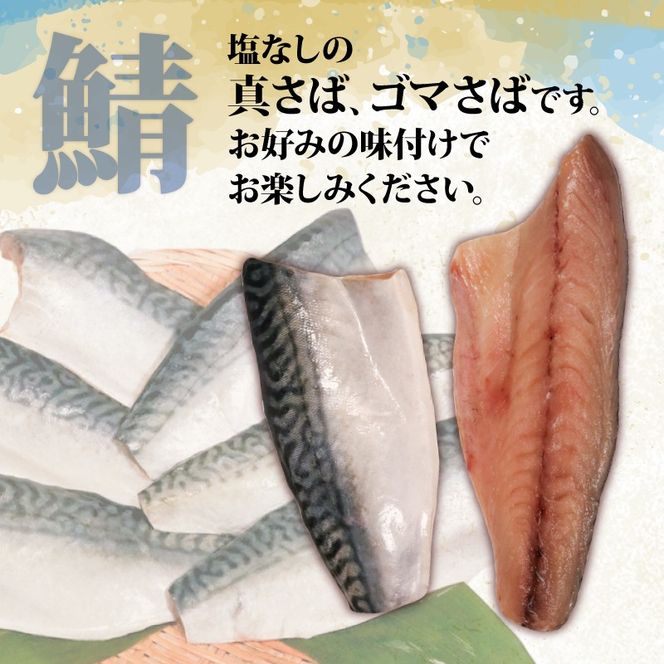 サバフィレ800g（400g×2袋）| 鯖 サバ さば 無塩サバ 魚 魚介 冷凍 国産 焼き物 焼きサバ 真サバ ゴマさば 煮物 ご飯のお供 1万円 10000円 三陸産 岩手県 大船渡市【kouyou010】