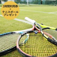 【関西唯一】天然芝テニスコート（1時間）利用券＋テニスボールプレゼント チケット 入場券 優待券