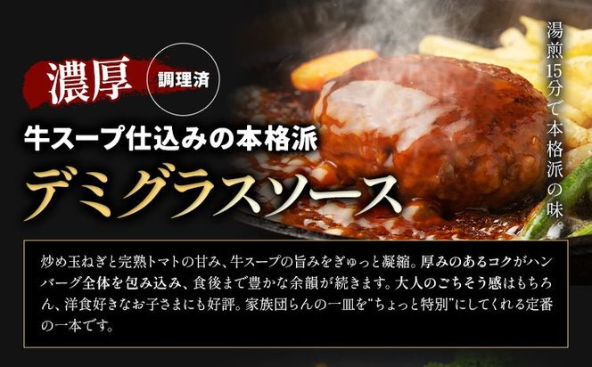 ハンバーグ 鉄板焼き 肉肉ハンバーグ 選べるソース デミグラスソース ジャポネソース 食べ比べ 20個 《1月出荷予定》熊本県 国産 牛肉 豚肉 鶏肉 ハンバーグ 専門店監修 小分け デミ ジャポネ 肉---oz_fhr_ac1_r7_10000_20i_n---