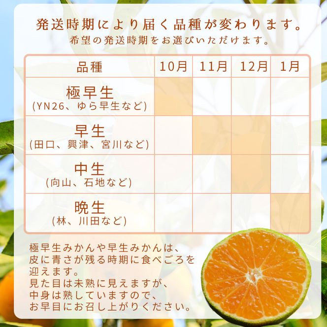 【1月発送】秀品 有田みかん 和歌山県産  S～Lサイズ 大きさお任せ 3kg / みかん フルーツ 果物 くだもの 有田みかん 蜜柑 柑橘【ktn001A-1】