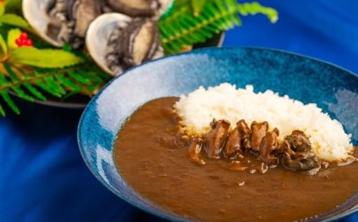 和歌山のアワビ屋さんがつくったあわびカレー 【170g×3袋】＜日付指定OK＞ / カレー 鮑 あわび 老舗監修【riz305】