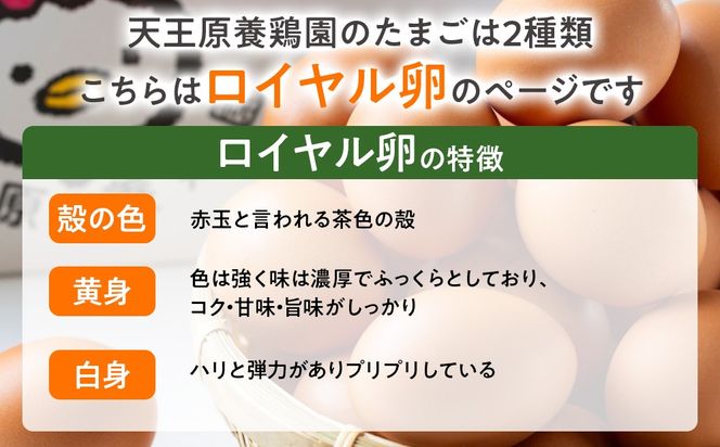 【定期便】10回定期 【天王原のたまご】 ロイヤル卵50個入り【定期便 10回定期便 セット たまご 卵 玉子 タマゴ 濃厚 ハリ 弾力 ボリューム 甘味 旨味 卵黄 風味 生 コク 甘味 卵かけご飯 卵焼き 目玉焼き オムレツ 茶碗蒸し お菓子作り パンの材料】