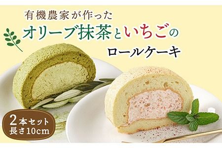 オリーブリーフの抹茶&つぶつぶ糸島いちご ロールケーキ2本セット[糸島][わかまつ農園][AHB014] ギフト 焼き菓子 送料無料 お菓子 お取り寄せ スイーツ ケーキオリーブ ケーキ抹茶 ケーキいちごロール ケーキロール ケーキつぶつぶいちご ケーキ苺 ケーキふわふわ ケーキプレゼント ケーキアルミニウムフリー ケーキ無添加 ケーキ記念日 ケーキ内祝い ケーキ送料無料 ケーキお菓子 ケーキスイーツ