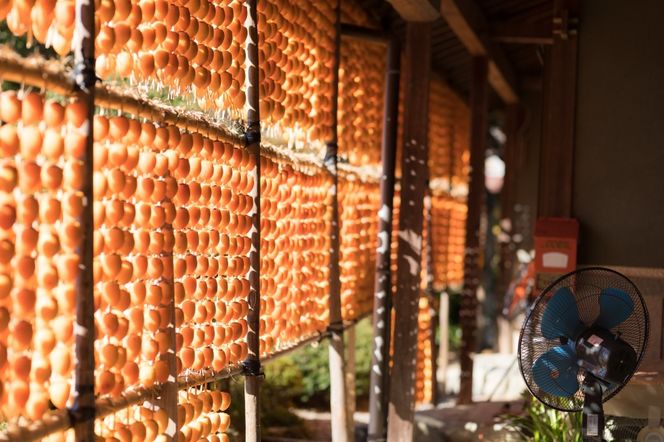 伊自良大実柿のクリームチーズ入り 4個 | 干し柿 チーズ スイーツ フルーツ 果物 岐阜 山県市