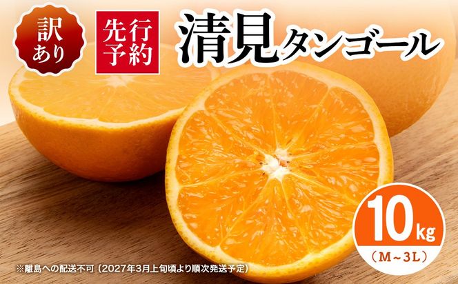 【先行予約】【訳あり】清見タンゴール 10kg（M～3L）※離島への配送不可 （2027年3月上旬頃より順次発送予定） IKTAR014