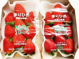 G7348_【2027年先行予約】 紀州和歌山ブランドいちご まりひめ 約280g×2P