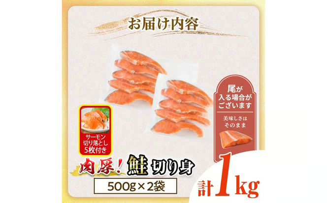 肉厚 鮭 切り身(計1kg・500g×2P)  サーモン切り落とし5枚付き！ 厚切り 塩 しゃけ さけ サケ 切身 塩鮭 塩焼き 焼き魚 おかず お惣菜 冷凍 厚切【AW-136】【丸正水産】