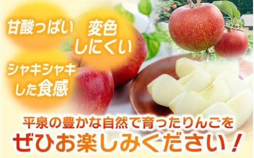 【令和7年度分予約受付】大文字りんご園 紅いわて 約3kg(7～10玉)【2025年9月下旬頃より順次発送】/ りんご リンゴ 林檎 果物 くだもの フルーツ 甘い 旬 産地直送 予約 先行予約【dma513-bi-3C】