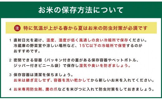 令和7年産 茨城あきたこまち 5kg 1袋 あきたこまち 白米 精米 ごはん お米 国産 茨城県産 守谷市 送料無料