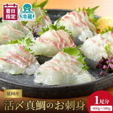 【日向灘どれ】延岡産活〆真鯛のお刺身　半身ロインパック×2（1尾分）約400g～500g　N019-ZA572