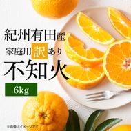 【2027年先行予約】紀州有田産 不知火 (しらぬい)【家庭用 訳あり】6kg デコポン フルーツ デザート 柑橘 果物 果実 みかん お取り寄せ 和歌山県 湯浅町 送料無料_G7358