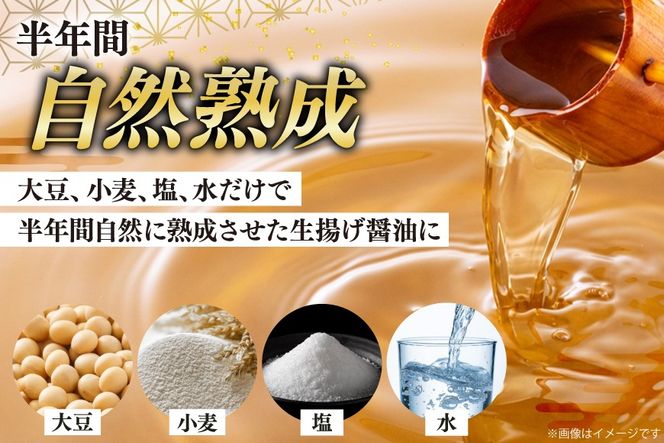 AJ304 マルイチ 上撰うすくちしょうゆ360ml×2本 [ うすくちしょうゆ 薄口醤油 うすくち 薄口 醤油 しょうゆ 塚原食品本舗 長崎県 島原市 ]