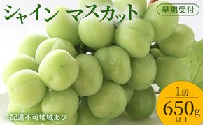 ぶどう 早期受付 シャイン マスカット 1房（650g以上） ブドウ 葡萄 岡山県産 国産 フルーツ 果物 ギフト 桃茂実苑