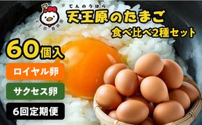 【定期便】６回定期 【天王原のたまご】 サクセス卵30個/ロイヤル卵30個
