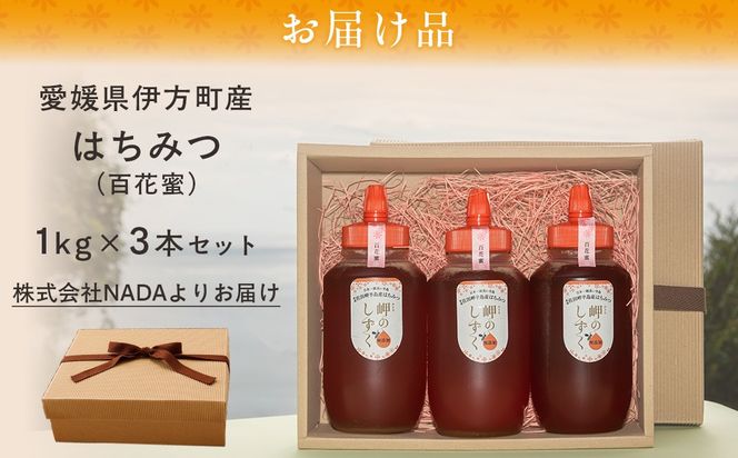 はちみつ 令和6年度産 新蜜 とろ～り、濃厚 「春の百花蜜」 愛媛